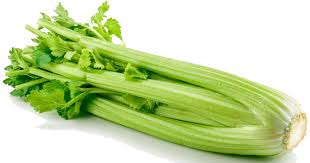 Celery image